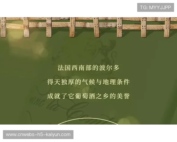 波尔多携手地方合作,开启训练与康复新时代