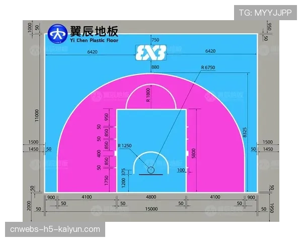 球场无障碍导览App用户体验改进与反馈报告，篮球场是否有无障碍区